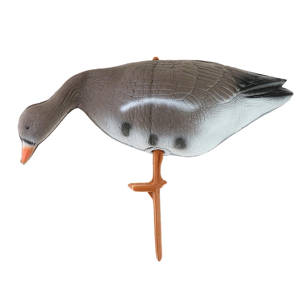 Zusammenklappbarer Truthahn-Gä – Hunting & Outdoor Supplies Carterton Bewertung und Preis